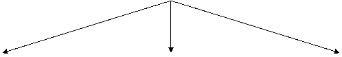testo descrittivo1
